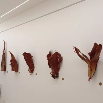 IMG 20240610 132613 296